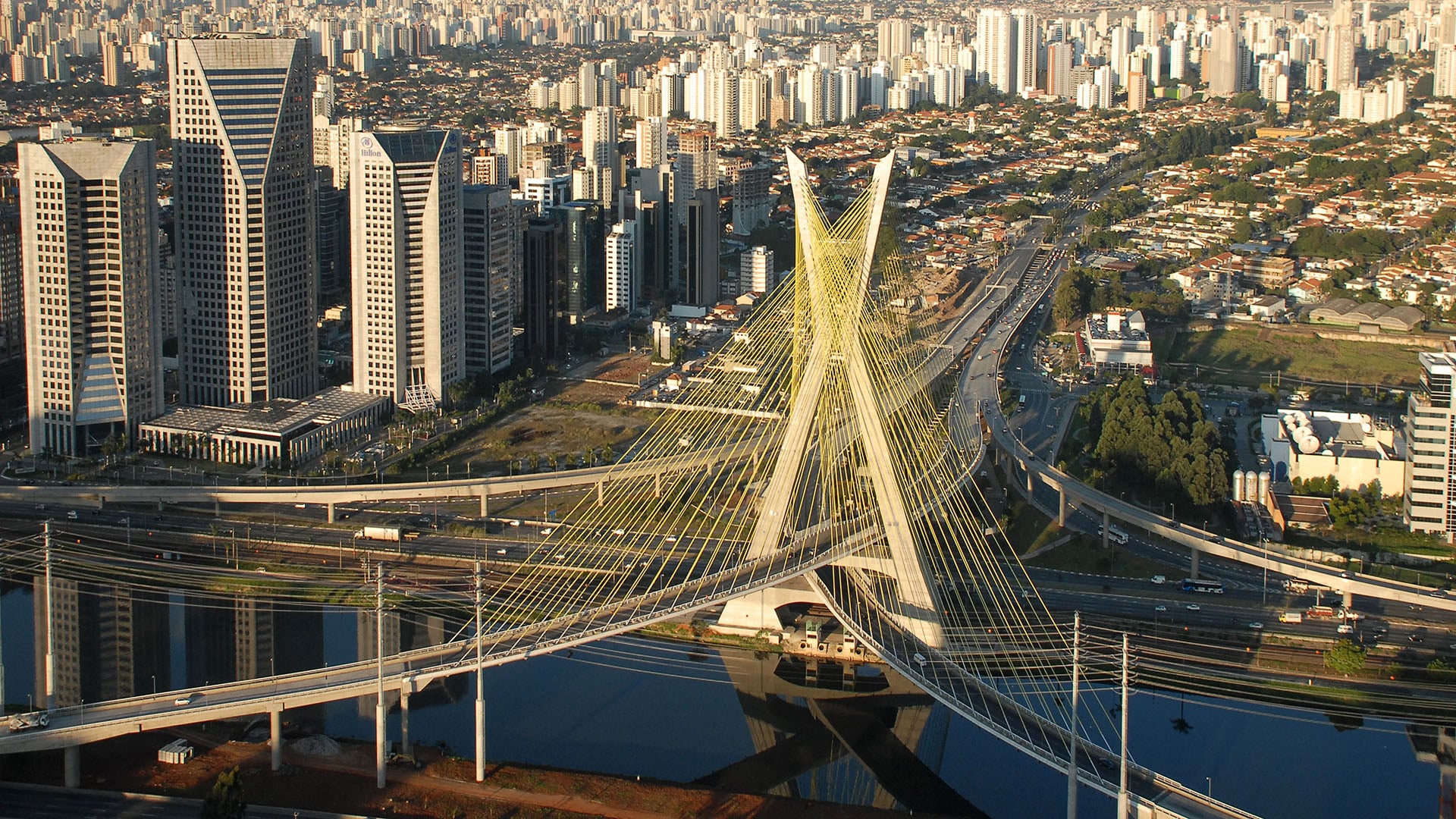 São Paulo, SP Foto da ponto raiada em São Paulo, SP.